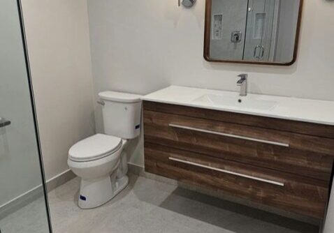 Aurora Basement Renovation Custom Washroom